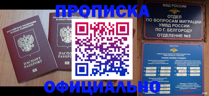 найти адрес прописки в Кирсе